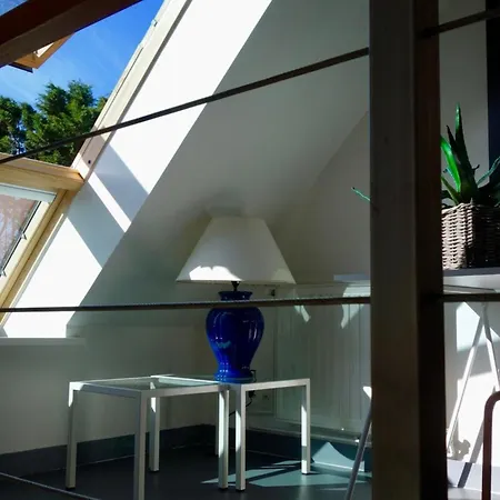 Pins * Barneville-Carteret