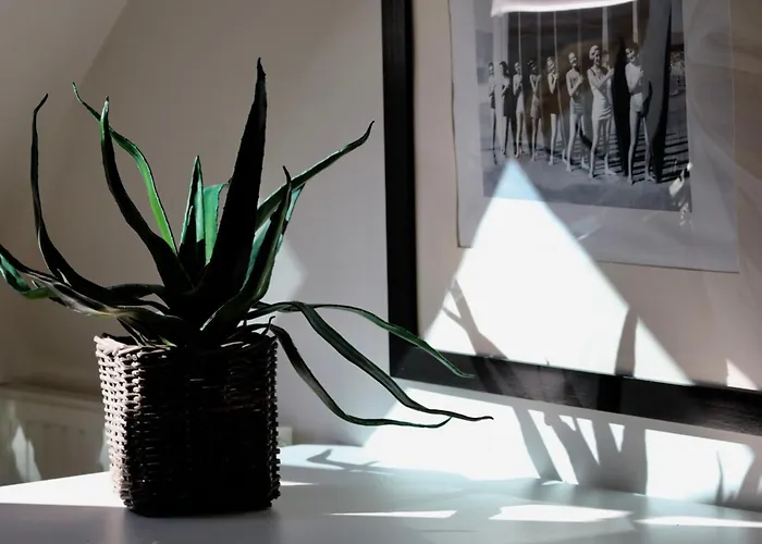 Pins * Barneville-Carteret