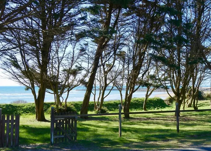 Pins * Barneville-Carteret