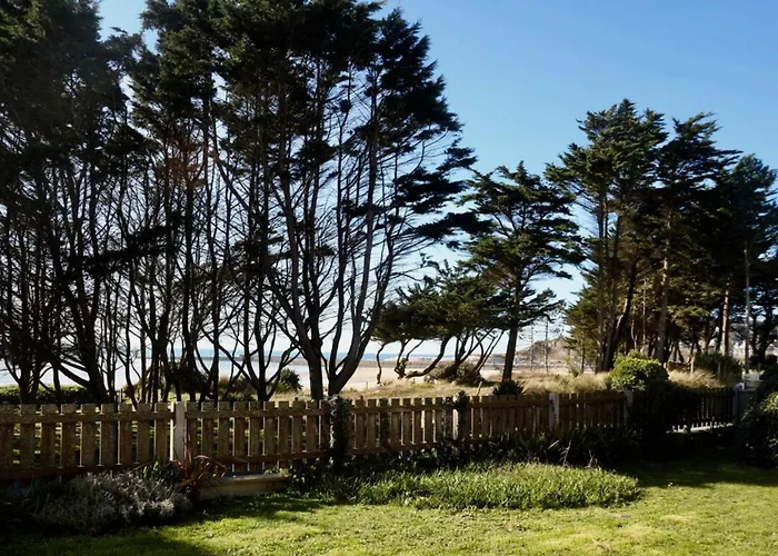 Pins Barneville-Carteret